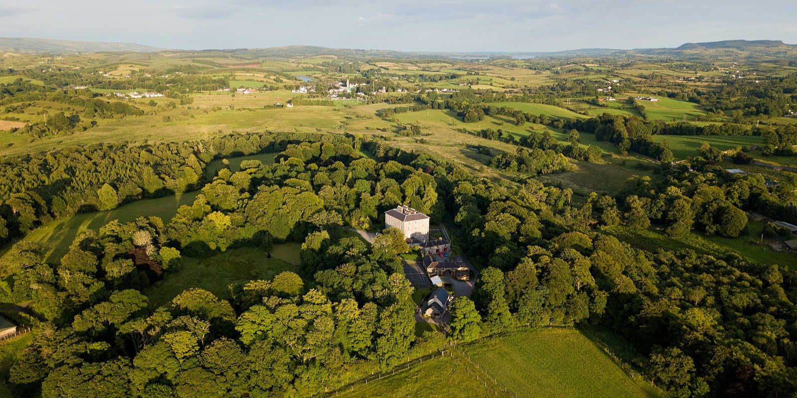 Coopershill Trees