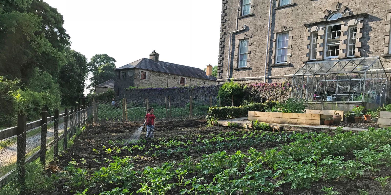 Watering Kitchen garden